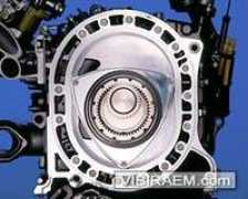 vibiraem.com Renesis