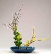 lesson.k-ikebana.com Rengy