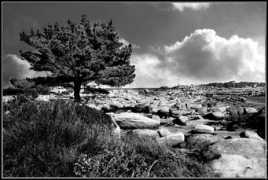 fond-ecran-image.com Renote