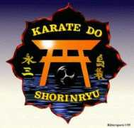 mccallsamericankarate.com Renshi