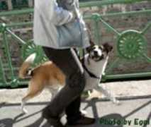 Rensy