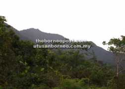 theborneopost.com Rentap