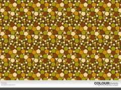 colourlovers.com Rentje