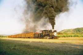 internationalsteam.co.uk Renulfo