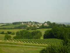 panoramio.com Reole