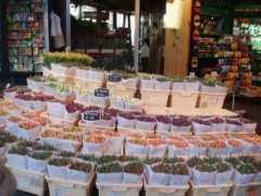 turistipercaso.it Rerica