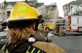 foundshit.com Rescuing