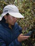 cordilleratropical.org Researchers