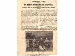feroninformatique.com Reselle
