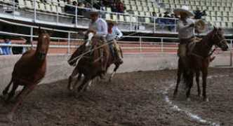 decharros.com Resendis