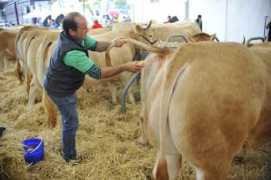 elcorreo.com Reses