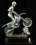 race-rewards.com Resins