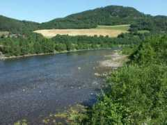 Ressell