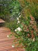 compagniadelgiardinaggio.it Restie