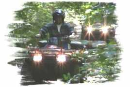 bearclawtours.com Restri