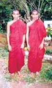 sundaytimes.lk Revatha
