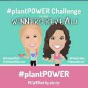 powercakes.net Reveal