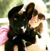 4germanshep.com Revelie