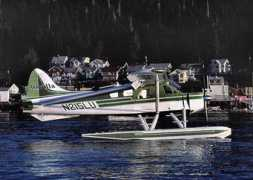 dhc-2.com Revella
