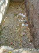 objetivorioja.larioja.com Revellin