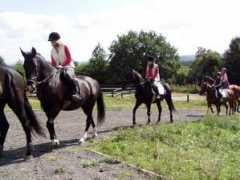 jkpegasmohelnice.estranky.cz Revino