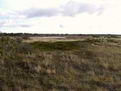 dof-vestsjaelland.dk Revlen
