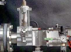 Rexter
