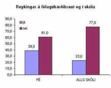 flensborg.is Reykin