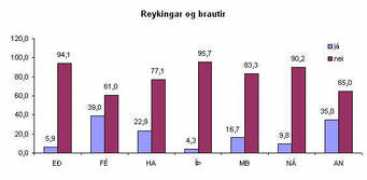 flensborg.is Reykin