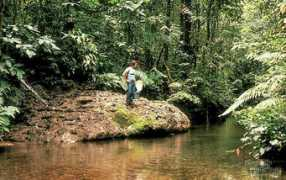 cnas.ucr.edu Reznick