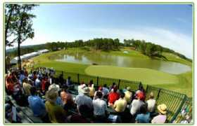 Rgcc