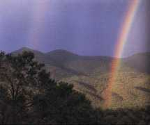 peterlourie.com Rgrande