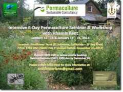 permaculturenews.org Rhamis