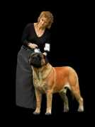 rufusofseawright.com Rhanda