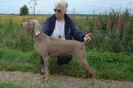 sinclairslegacy.weimaraner.fi Rhanya