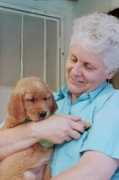 poochiepals.com Rhetta