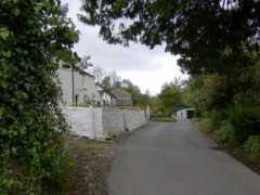 Rhew