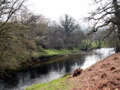 fishing-in-kite-country.co.uk Rhosan