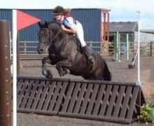 welshcobs.info Rhuban