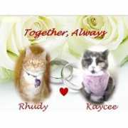Rhudy