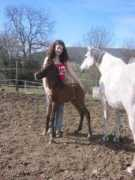 equi-blog.com Rhyad