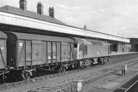 class25.info Rhyla