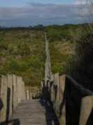 panoramio.com Riamar