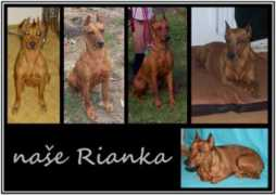 Rianka