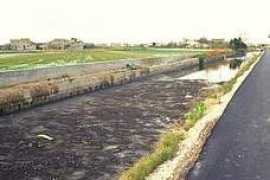 Ribaz