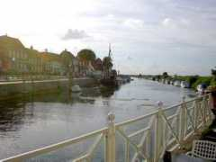 Ribe