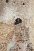Ribecco