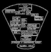 infinitefutures.com Ribone