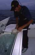 pescareonline.it Ricalo