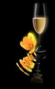 winechina.com Riccado